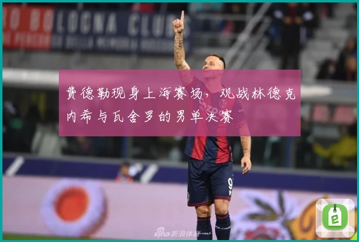 费德勒现身上海赛场，观战林德克内希与瓦舍罗的男单决赛