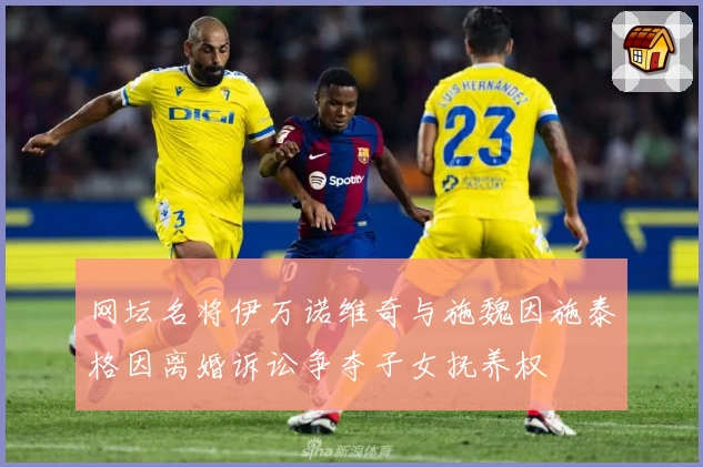 网坛名将伊万诺维奇与施魏因施泰格因离婚诉讼争夺子女抚养权
