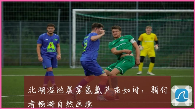 北湖湿地晨雾氤氲芦花如诗，骑行者畅游自然画境