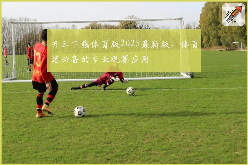 开云下载体育版2025最新版，体育迷必备的专业观赛应用
